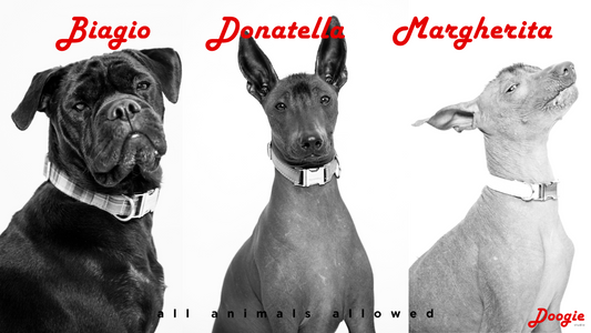 Biagio, Donatella, Margherita- 3 yrs, 2 yrs, 4 months