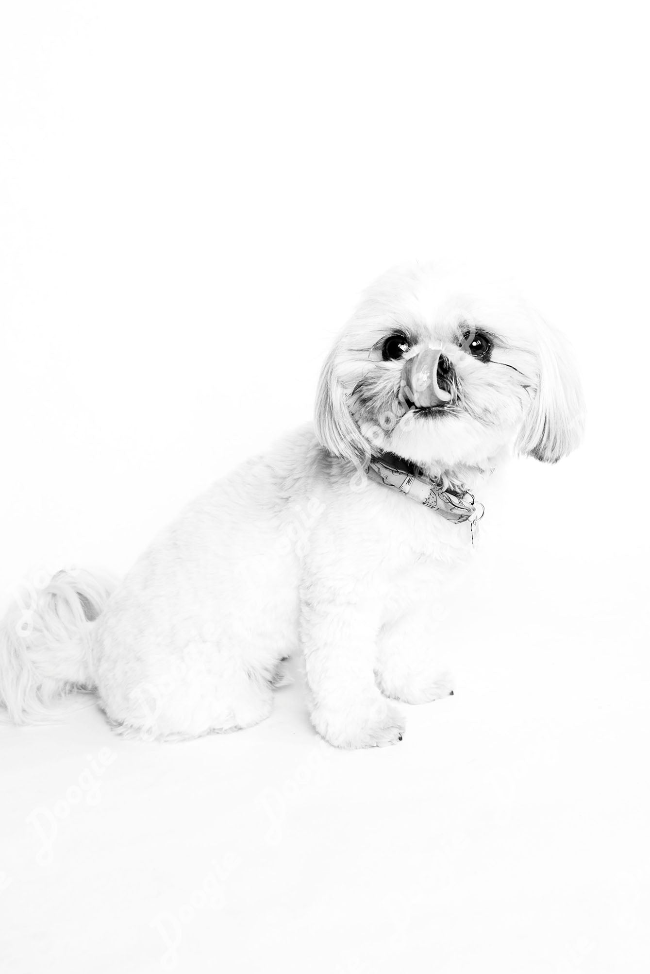 Samson