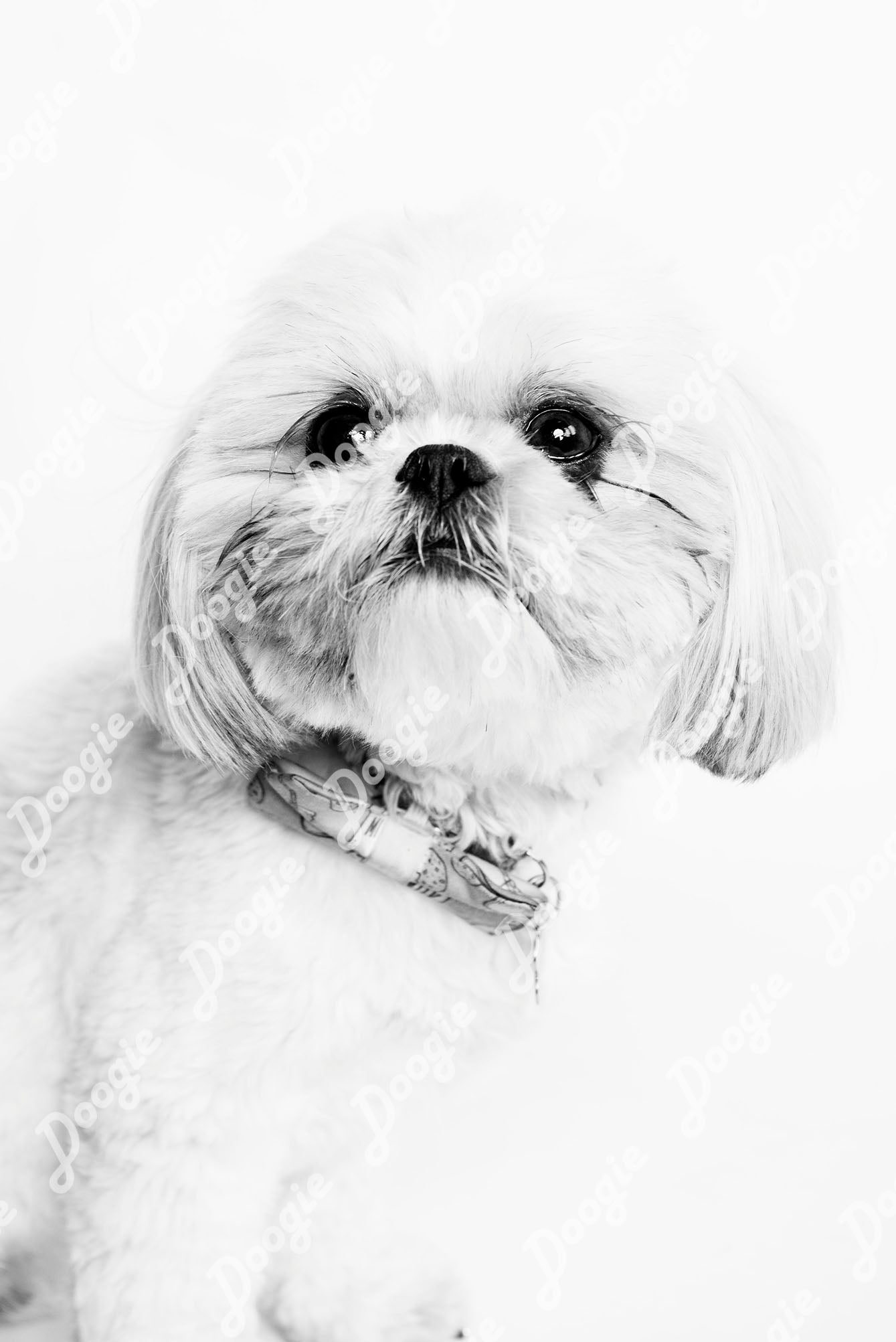 Samson