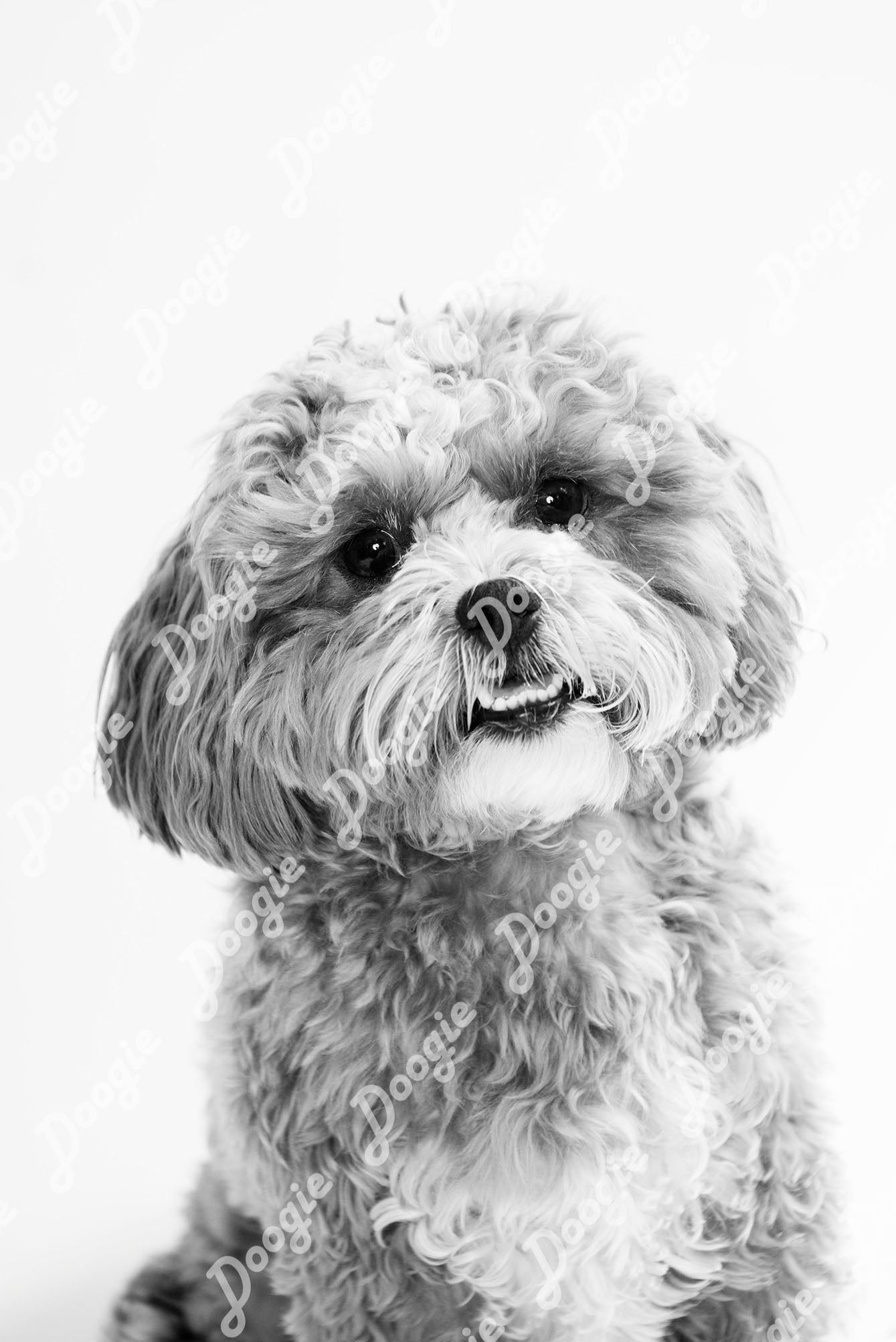 Georgie