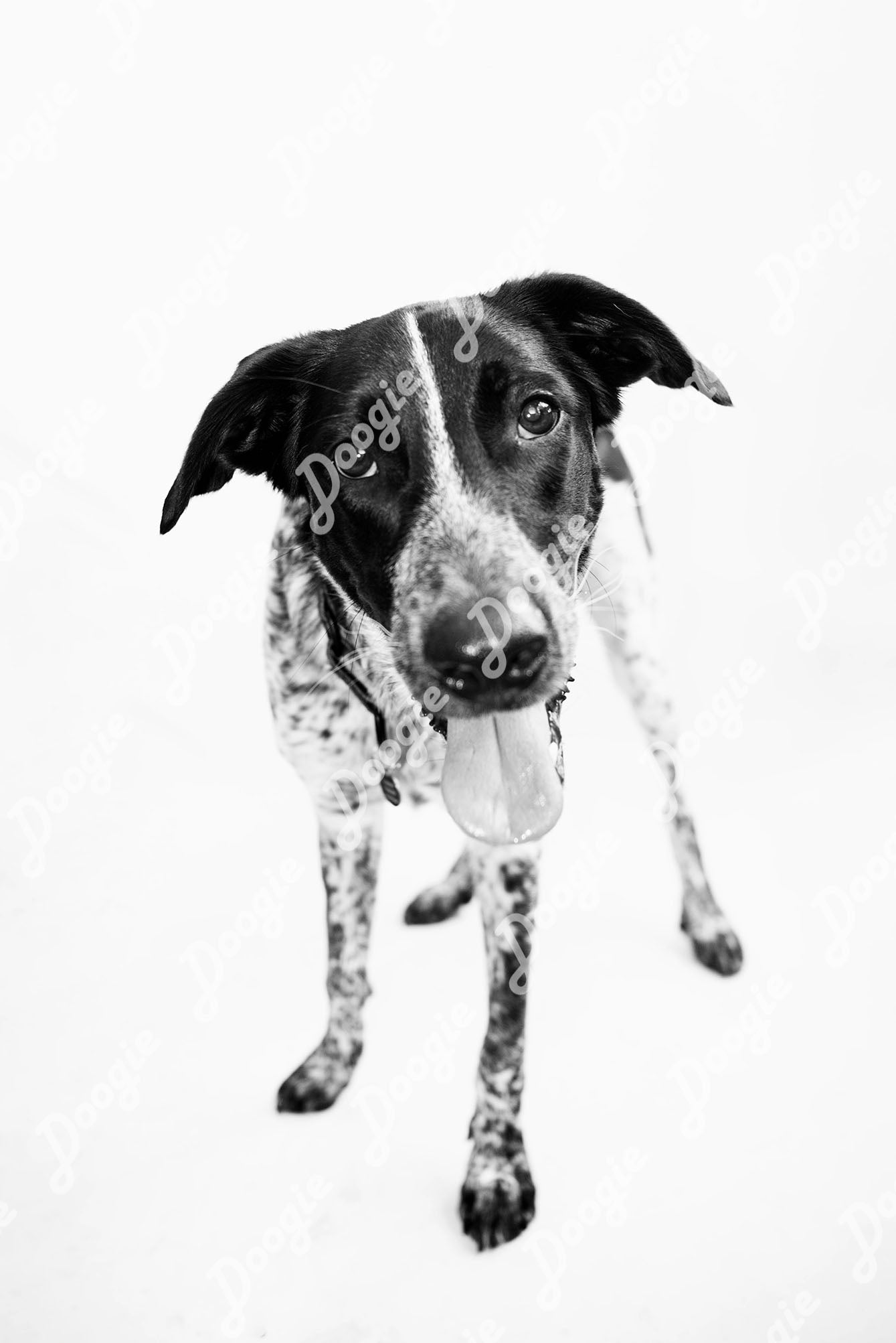 Sammy